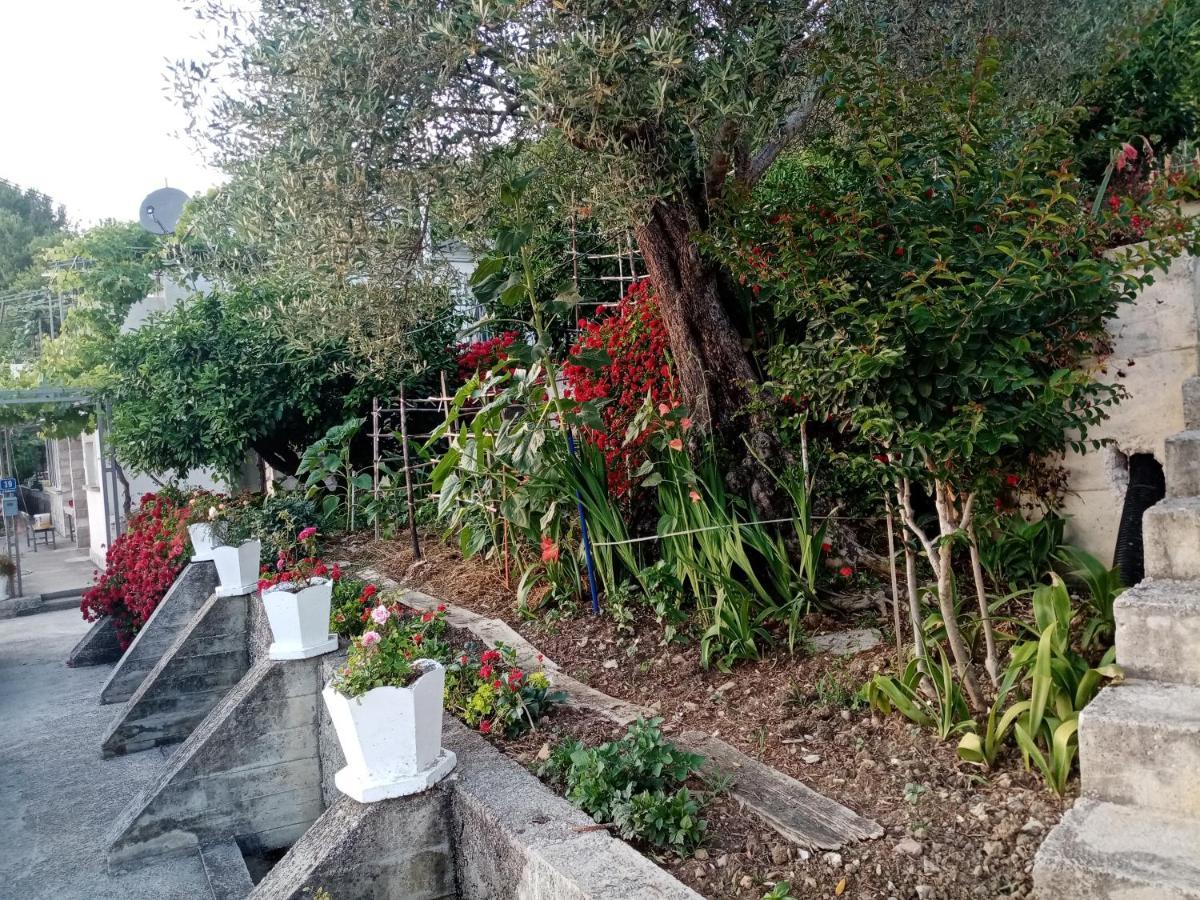 Apartmani Bosco Tivat Exteriér fotografie