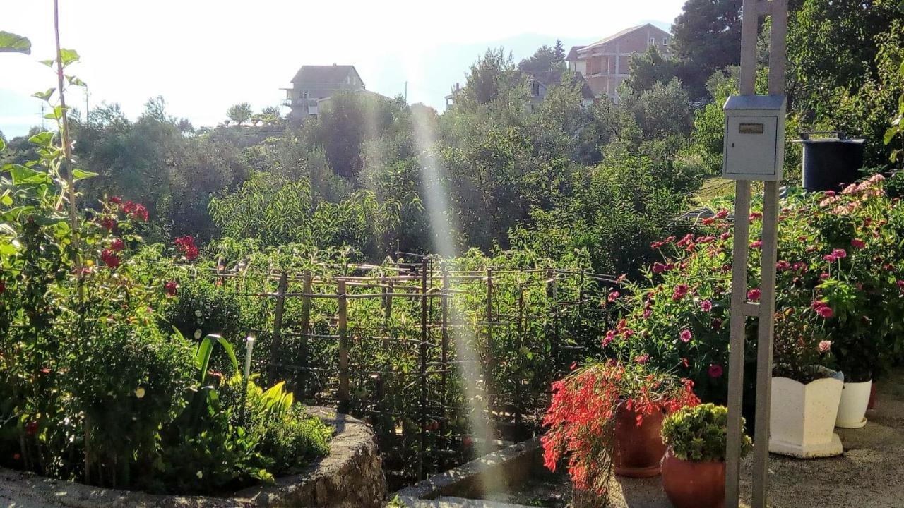 Apartmani Bosco Tivat Exteriér fotografie