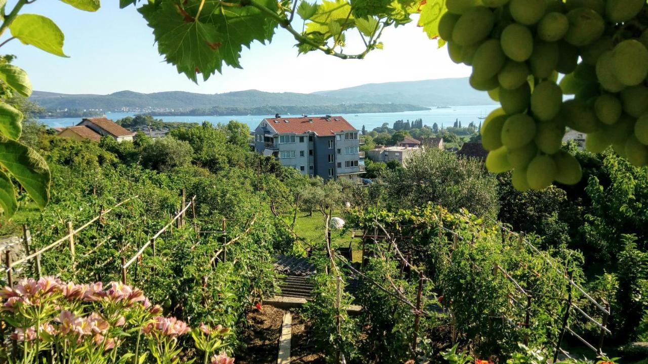 Apartmani Bosco Tivat Exteriér fotografie