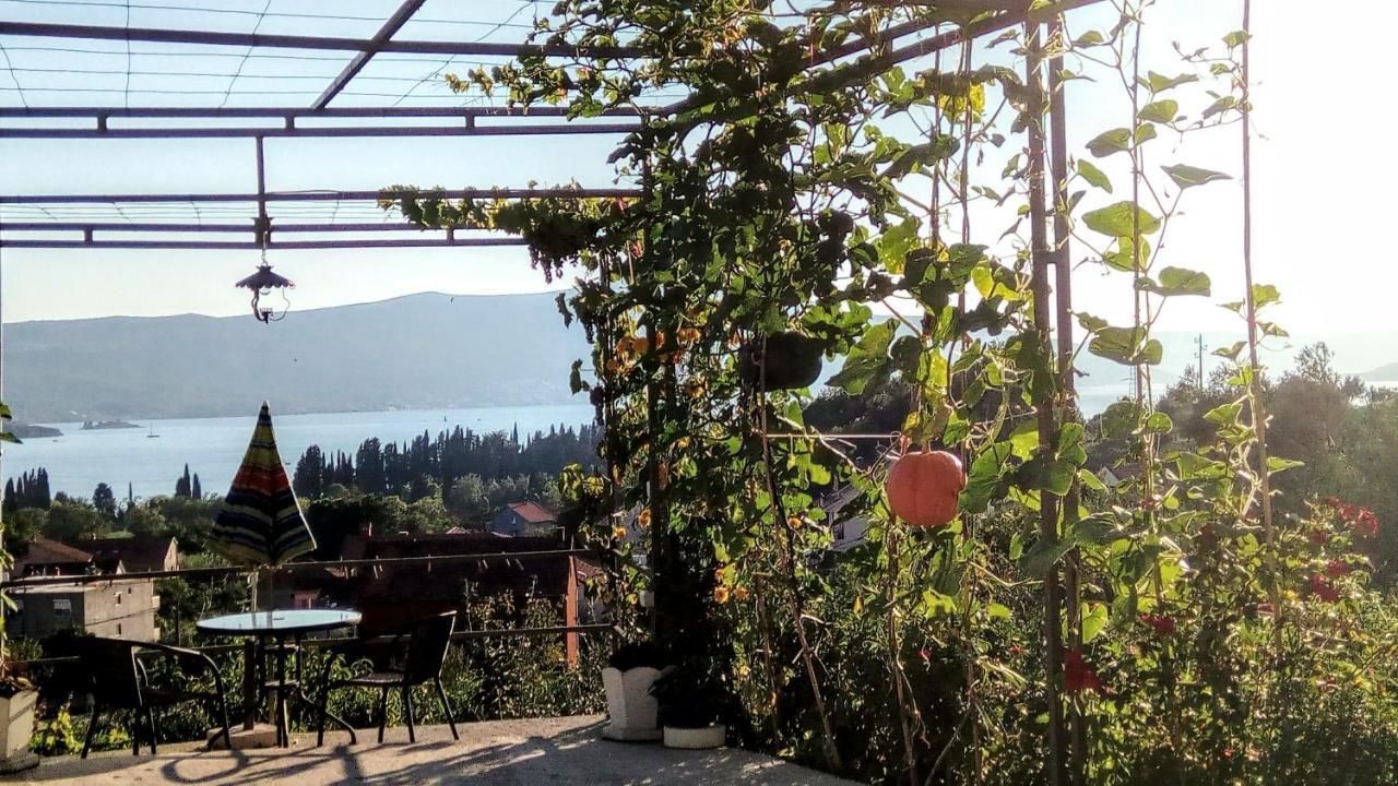 Apartmani Bosco Tivat Exteriér fotografie