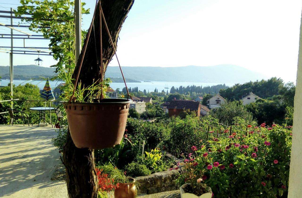 Apartmani Bosco Tivat Exteriér fotografie