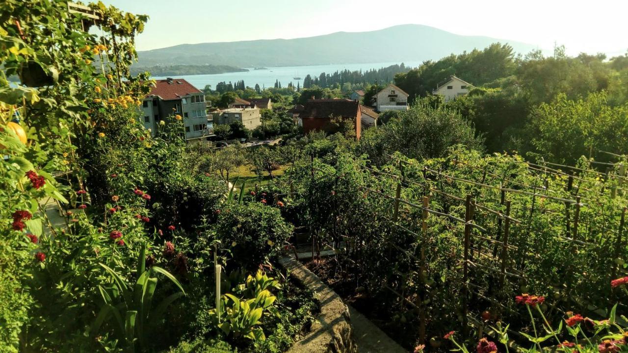 Apartmani Bosco Tivat Exteriér fotografie