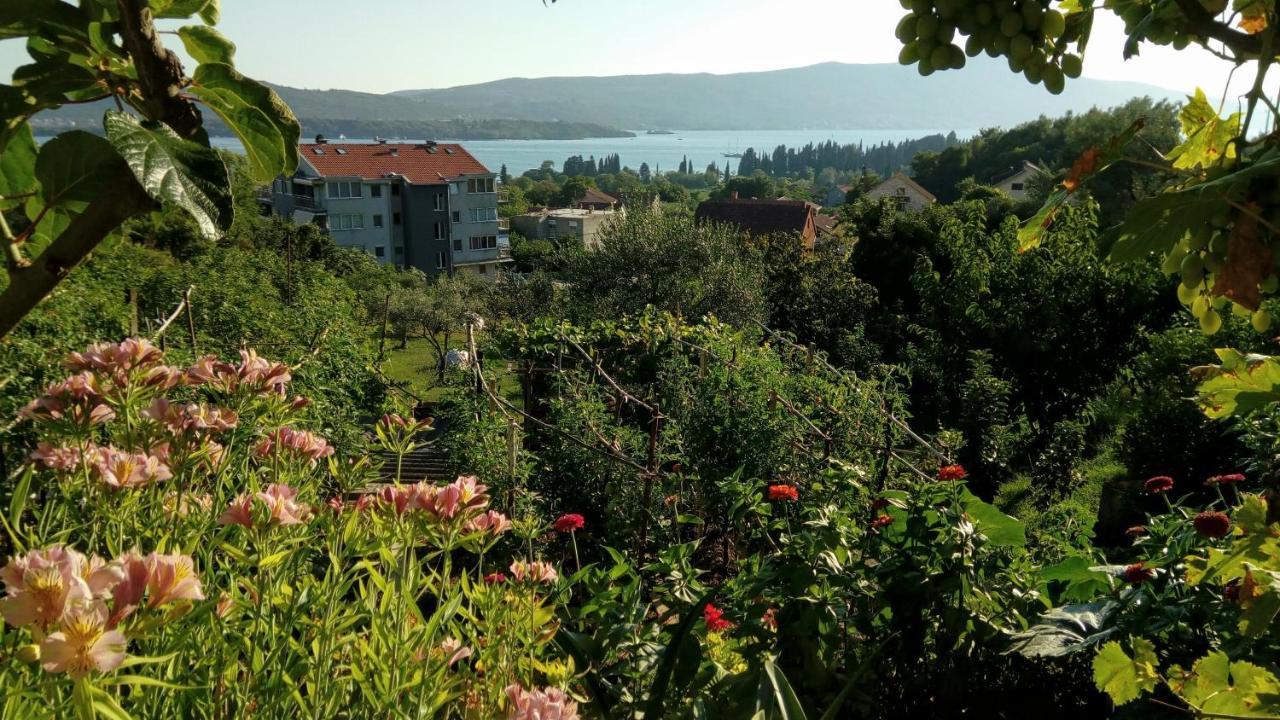 Apartmani Bosco Tivat Exteriér fotografie