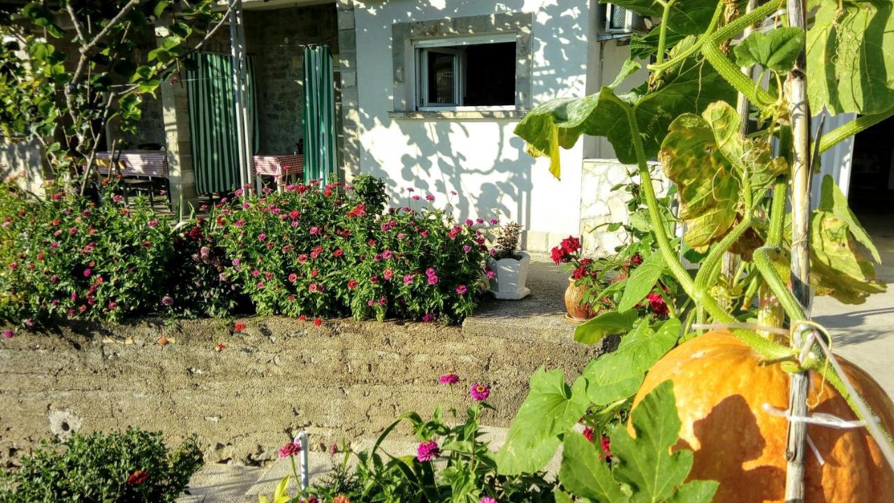 Apartmani Bosco Tivat Exteriér fotografie