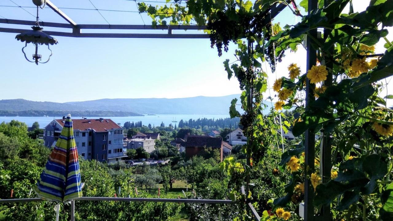 Apartmani Bosco Tivat Exteriér fotografie