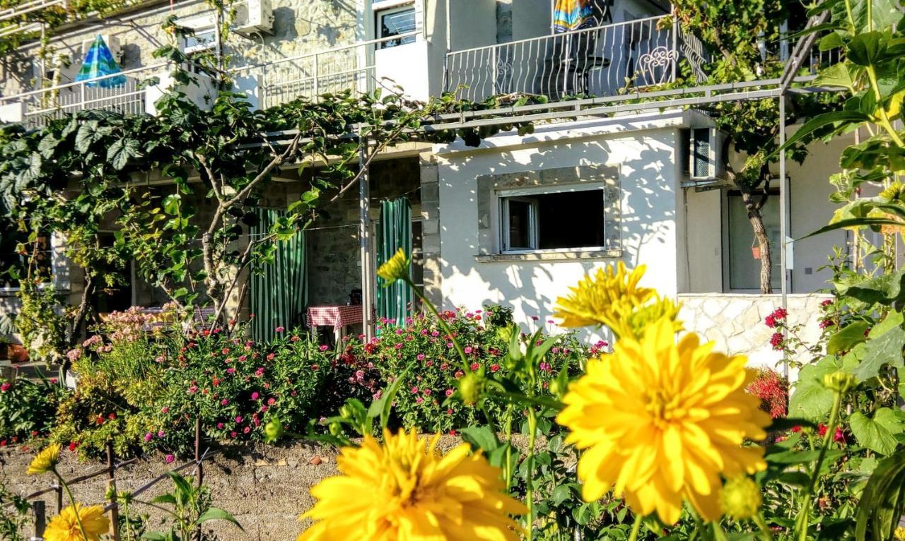 Apartmani Bosco Tivat Exteriér fotografie
