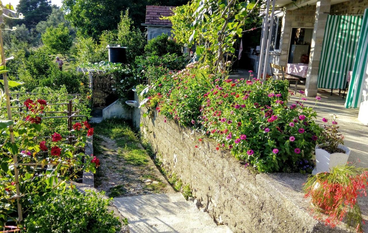 Apartmani Bosco Tivat Exteriér fotografie